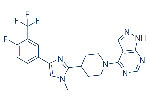 LY2584702