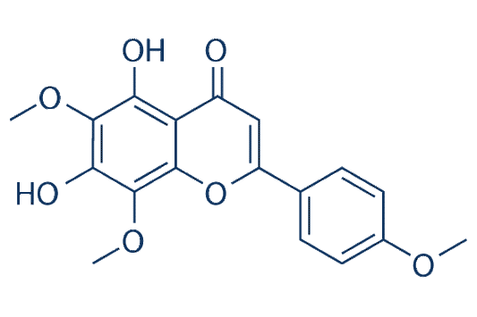 Lysionotin