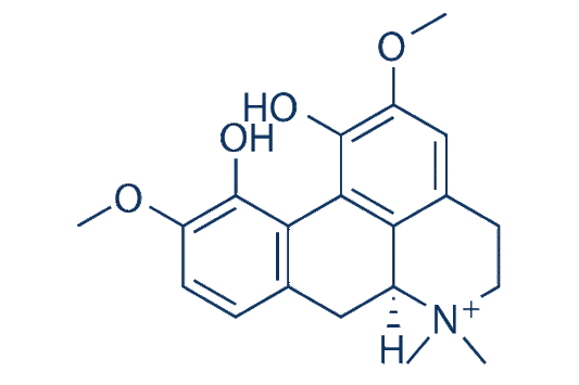 Magnoflorine