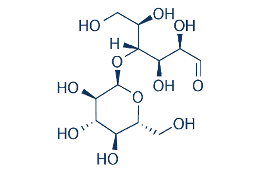 Maltose