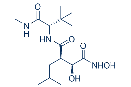 Marimastat (BB-2516)