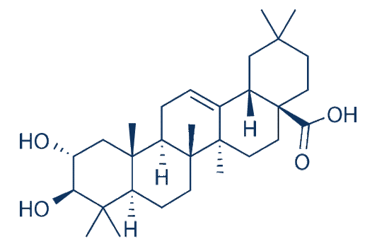 Maslinic acid