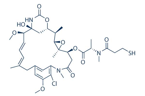 DM1 (Mertansine)