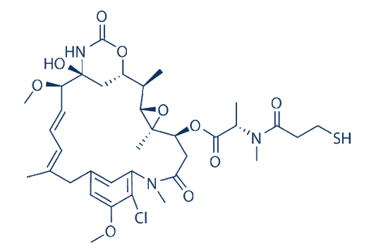 DM1 (Mertansine)