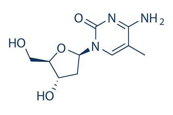 5-Methyl-2'-deoxycytidine