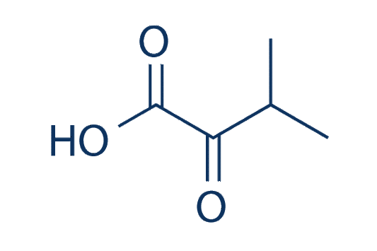 3-Methyl-2-oxobutanoic acid