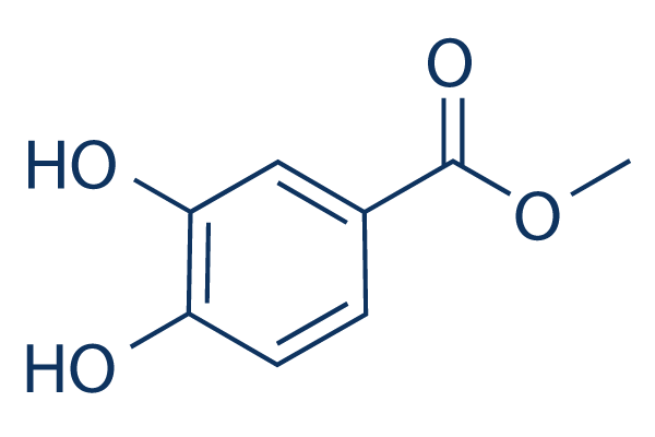 Methyl protocatechuate