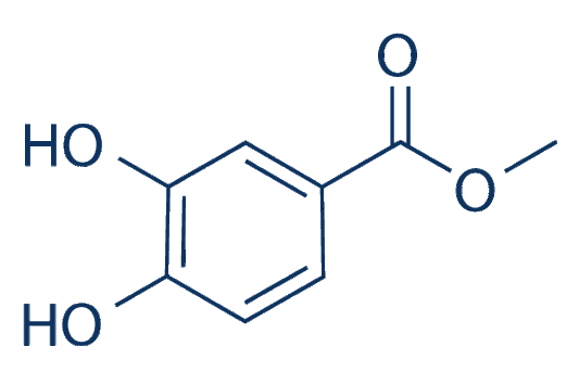 Methyl protocatechuate