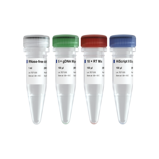 miRNA 1st Strand cDNA Synthesis Kit (by Stem-Loop)
