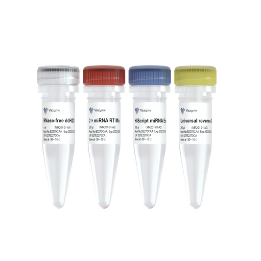 miRNA 1st Strand cDNA Synthesis Kit (by Tailing A)