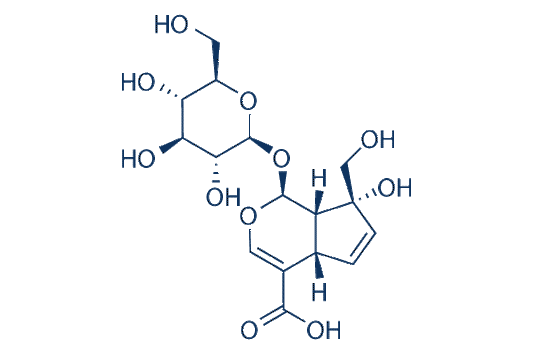 Monotropein