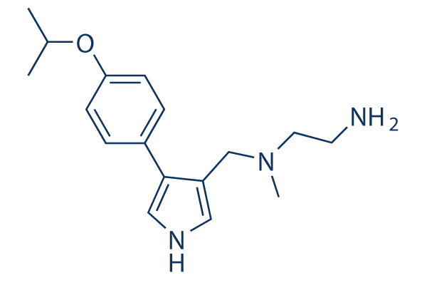 MS023