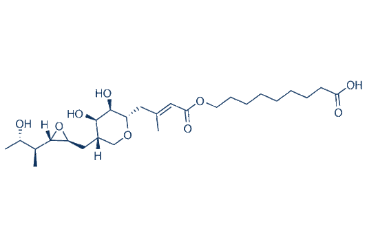 Mupirocin
