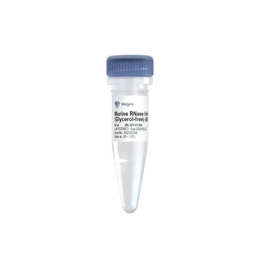 Murine RNase Inhibitor (40 U/μl, GMP Grade)
