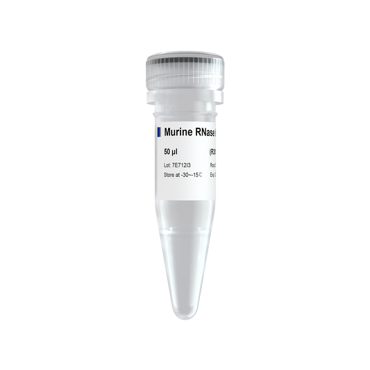 Murine RNase Inhibitor (Glycerol-free)