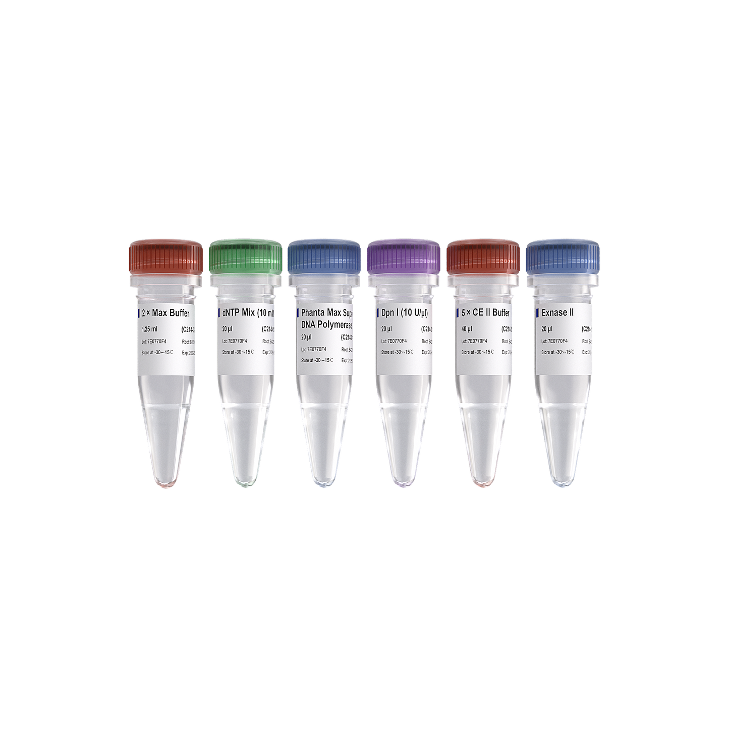 Mut Express II Fast Mutagenesis Kit V2