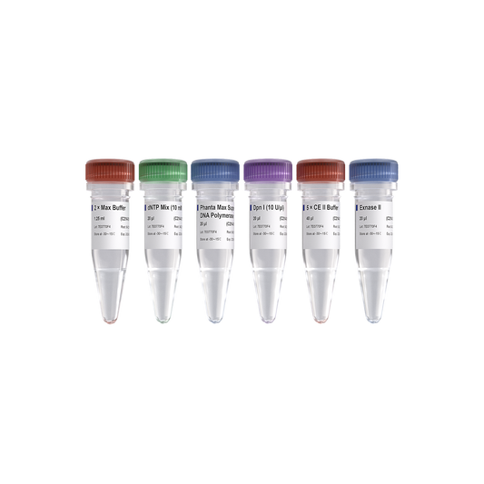 Mut Express II Fast Mutagenesis Kit V2