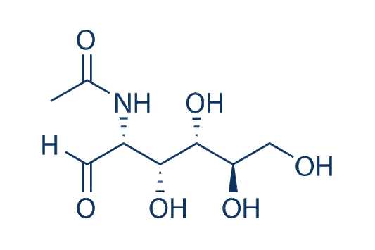N-Acetylglucosamine