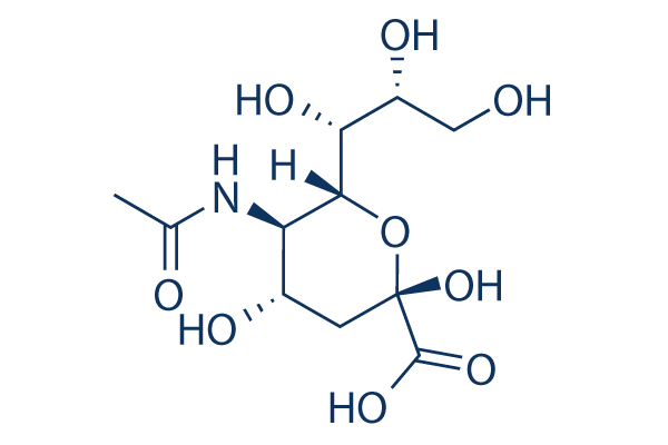 N-Acetylneuraminic acid