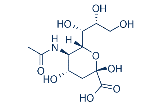 N-Acetylneuraminic acid