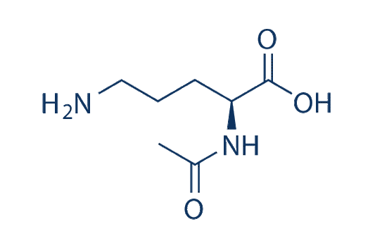 N-Acetylornithine
