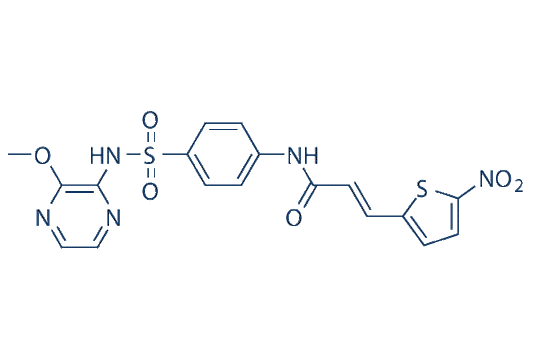 Necrosulfonamide