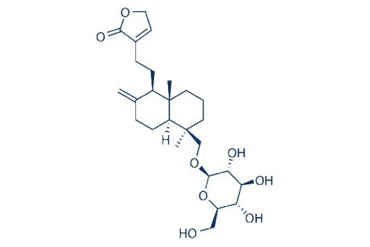 Neoandrographolide
