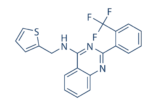 NIH-12848
