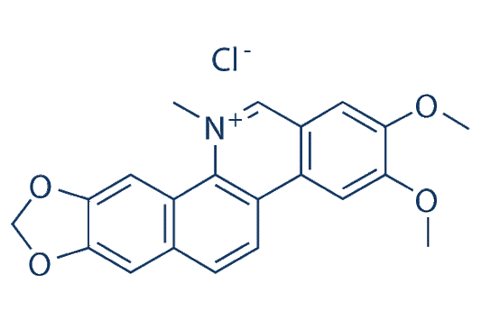Nitidine Chloride