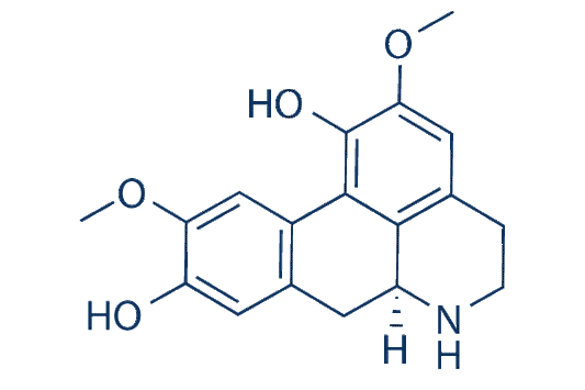 Norisoboldine