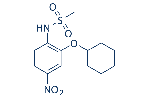 NS-398 (NS398)