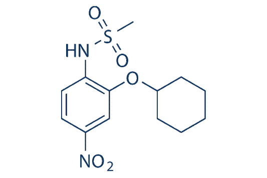 NS-398 (NS398)