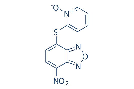 NSC228155