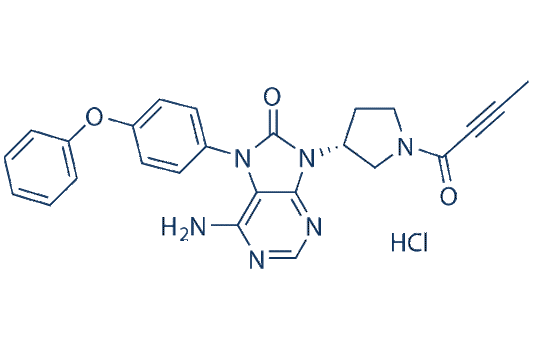 tirabrutinib (ONO-4059)hydrochloride