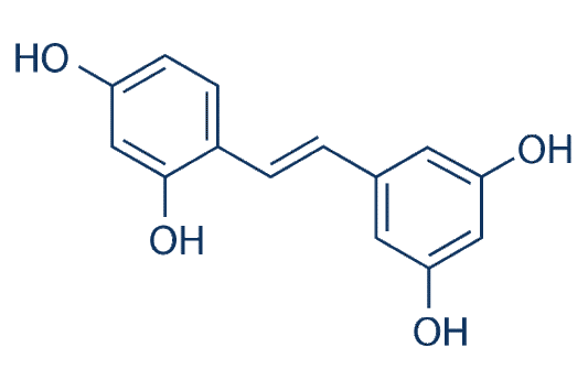 Oxyresveratrol