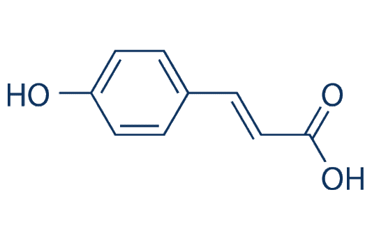 p-Coumaric Acid