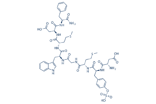 CCK Octapeptide (Sincalide)