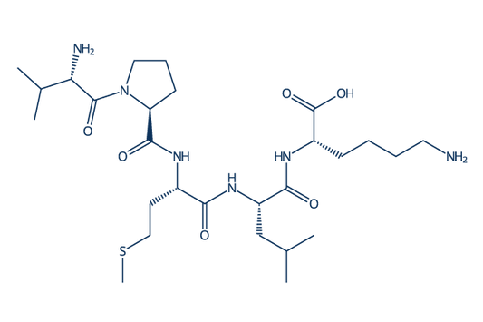 Bax inhibitor peptide V5