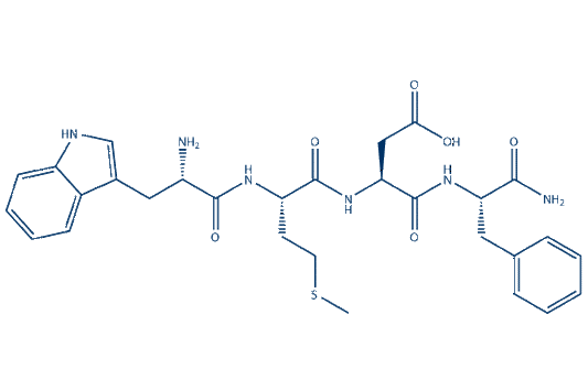 Gastrin Tetrapeptide