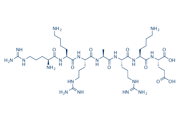 PKG inhibitor peptide
