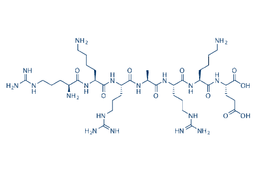PKG inhibitor peptide
