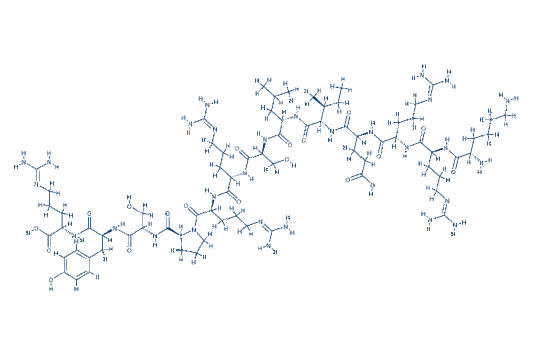 CREBtide