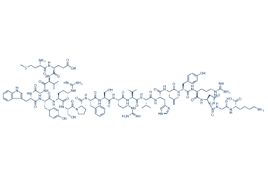 Myelin Oligodendrocyte Glycoprotein 35-55 (Mouse, Rat)
