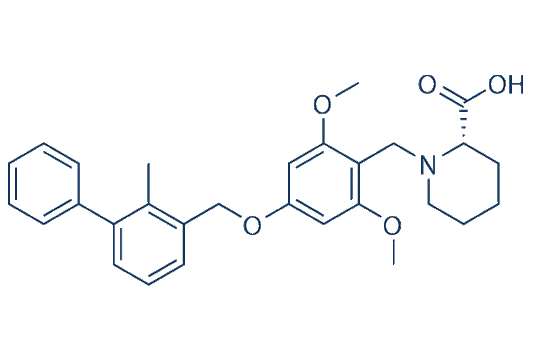 BMS-1