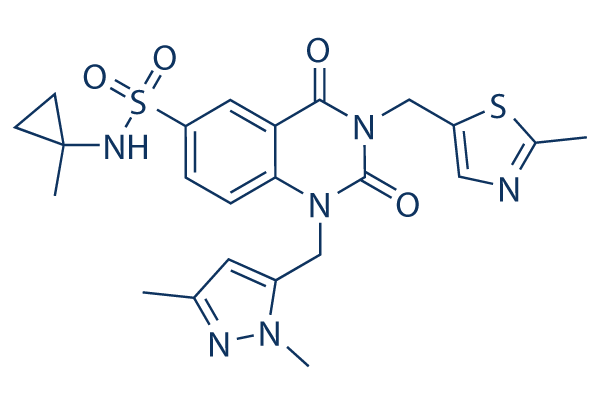 PDD00017273