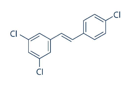 PDM2