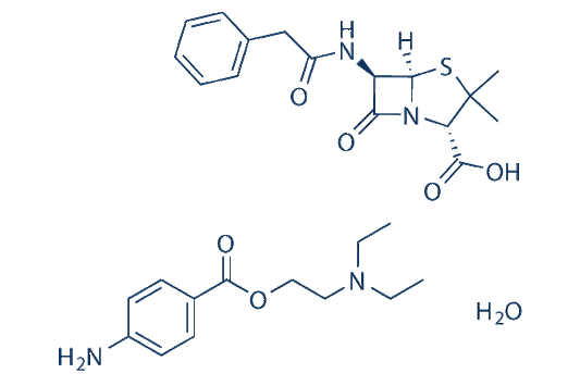 Penicillin G Procaine
