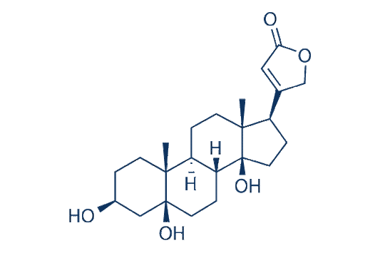 Periplogenin