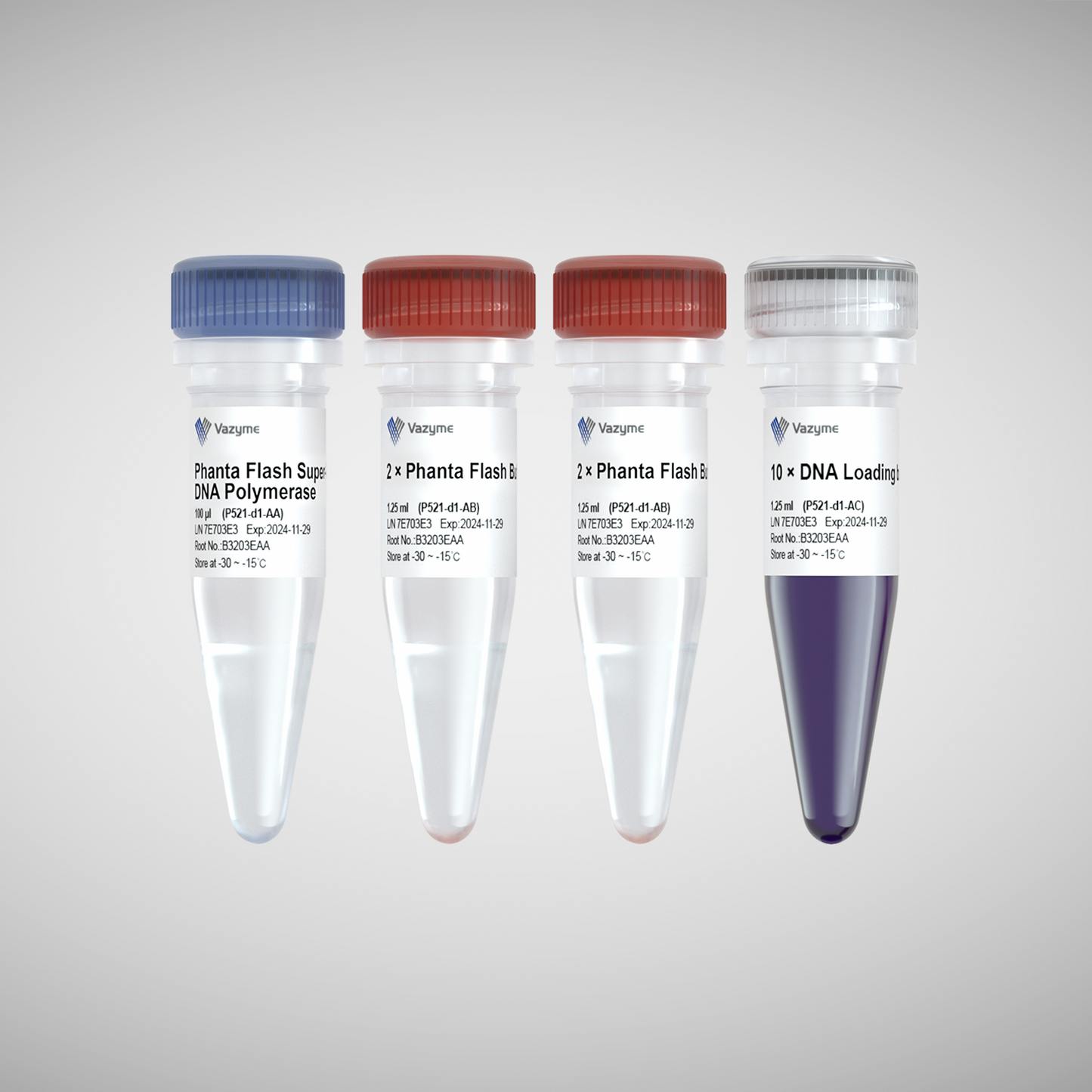 Phanta Flash Super-Fidelity DNA Polymerase