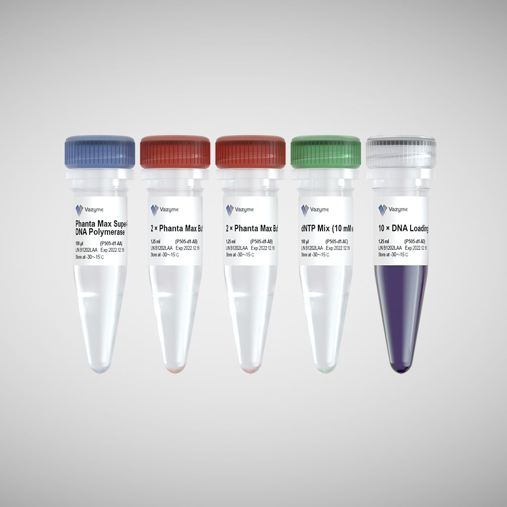 Phanta Max Super-Fidelity DNA Polymerase